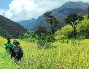 jalur pendakian TNGGP dukabuka