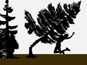 POHON TUMBANG