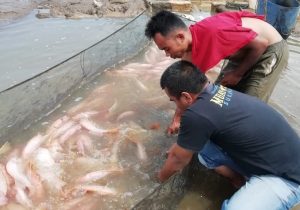 FGD raperda pengelolaan perikanan