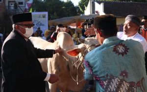 Marwan Hamami Himbau Beli Hewan Kurban bebas PMK