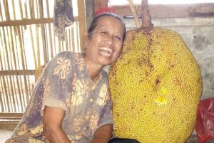 buah nangka raksasa dari ciracap sukabumi