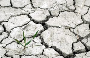 Badan Meteorologi, Klimatologi dan Geofisika (BMKG) memprediksi mayoritas wilayah di Indonesia akan menghadapi musim kemarau atau kekeringan panjang mulai Maret 2023. Puncaknya, sebanyak 32 dari total 34 provinsi akan dilanda musim kering pada Agustus 2023 mendatang.