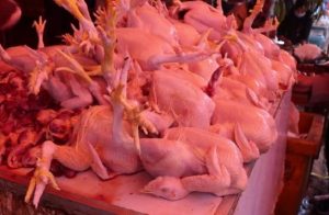 Dua ton ayam beku disiapkan untuk masyarakat di alun-alun Palabuhanratu oleh Polres Sukabumi, Rabu (28/06/2023). Dua ton ayam beku ini sedianya akan dijual dengan harga murah, yakni Rp 35 ribu perekornya. Dua ton ayam beku dijual murah dalam rangka Hari Bhayangkara ke 77.