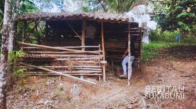 erangan hewan buas kembali menghantui warga Desa Gandasoli, Kecamatan Cikakak, Kabupaten Sukabumi Jawa Barat.