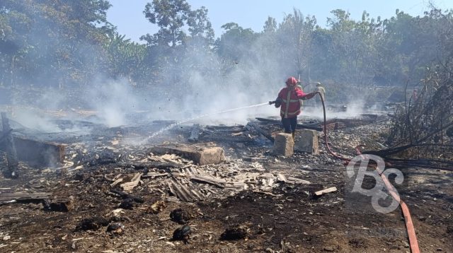 Kebakaran hebat melanda kandang ayam di Kampung Cigangsa, Desa Citepus, Kecamatan Palabuhanratu, Kabupaten Sukabumi pada Kamis (19/9/2024) siang.