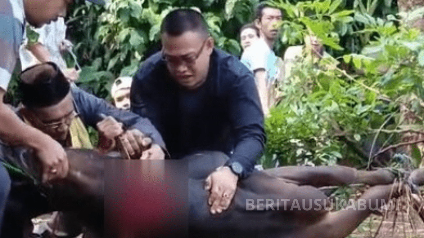 Seorang warga Citayam, H. Cholid, meninggal dunia usai menyembelih sapi kurban. Momen haru ini terekam dan viral di media sosial. #IdulAdha2025 #Citayam #BeritaTerkini