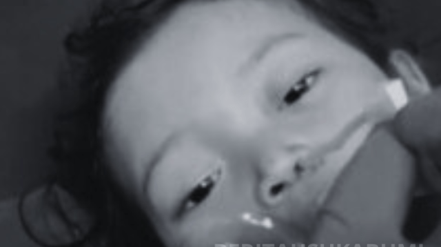 Gubernur Jawa Barat Dedi Mulyadi membekukan bantuan dana desa Cianaga, Sukabumi, usai kematian tragis bocah tiga tahun bernama Raya. Keputusan ini menjadi tamparan keras bagi birokrasi desa yang dinilai gagal melindungi warganya.