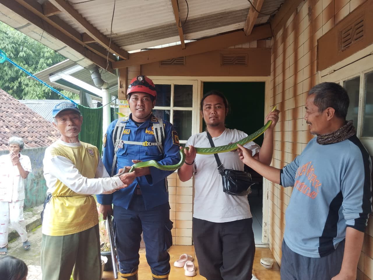 Damkar Kabupaten Sukabumi evakuasi ular di Kampung Neglasari Cibadak, Senin 9 Februari 2026. Operasi non kebakaran berjalan cepat dan aman.