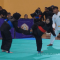 Sebanyak 250 pesilat pelajar dari berbagai daerah di Kabupaten Sukabumi menunjukkan kemampuan terbaiknya dalam Festival Pencak Silat Pelajar yang digelar di GOR Pemuda Cisaat, Minggu (24/5/2026).